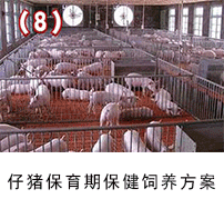 ���i�����ڱ�����B(y��ng)����